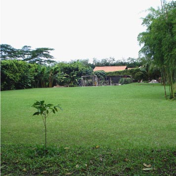 Cancha de Fútbol Casa Verde Campestre